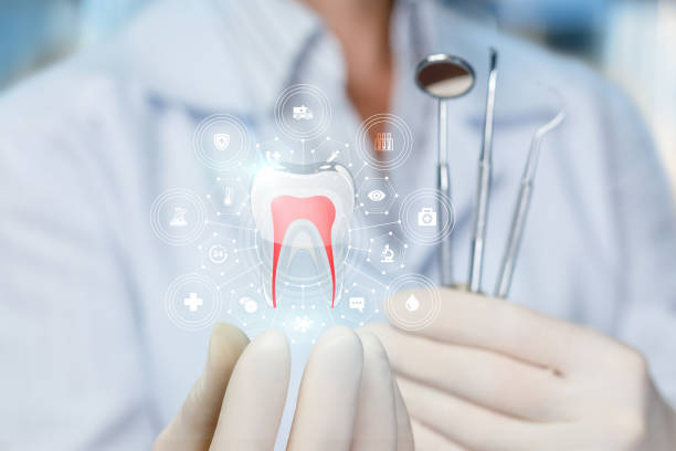 Best Dental Exams and Cleanings  in Monson Center, MA